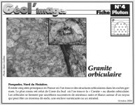 Granite orbiculaire de Porspoder dans granite de l'Aber Ildut FInistère