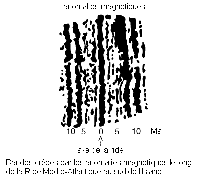 F01_12b.gif (11144 octets)