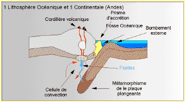 oceacont.gif (31179 octets)