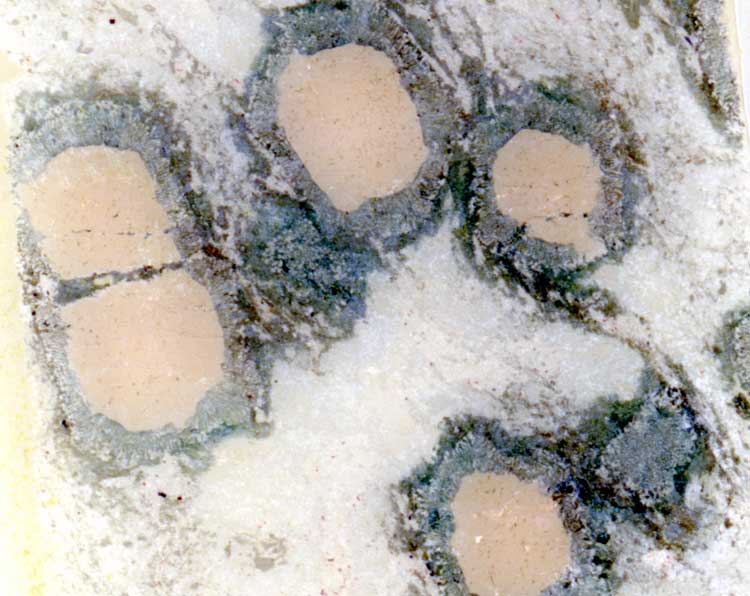 Eclogite avec amphibolitisation