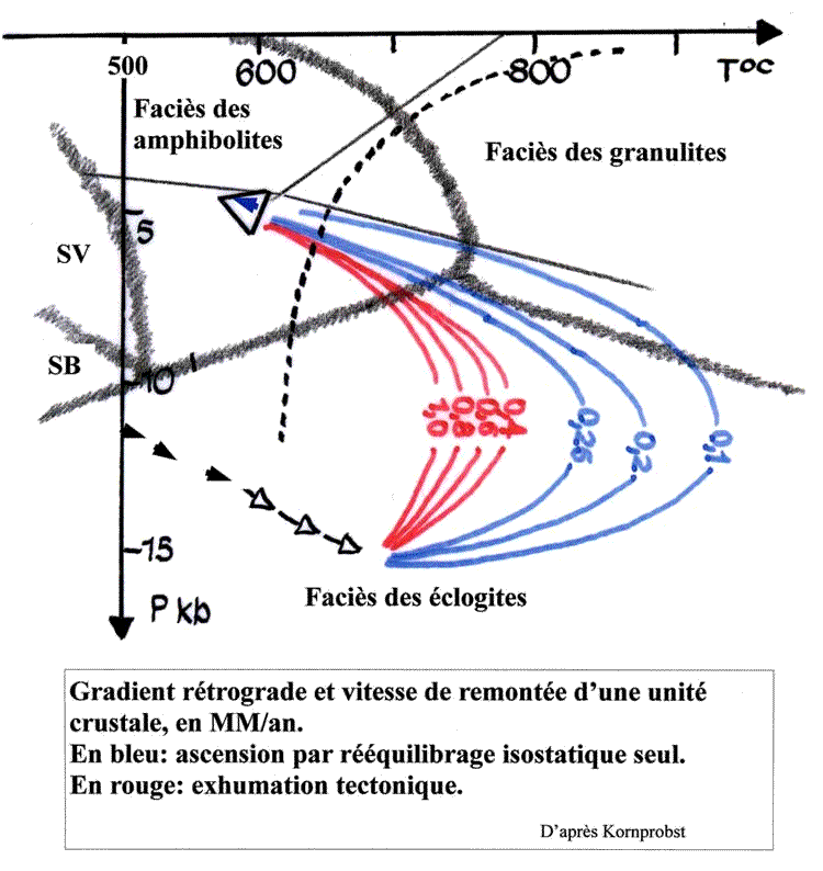 Gradient rétrograde