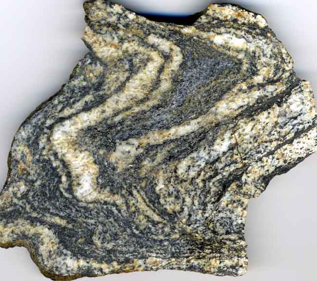 Coupe polie Migmatite