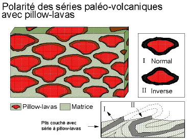 polarit.jpg (143056 octets)