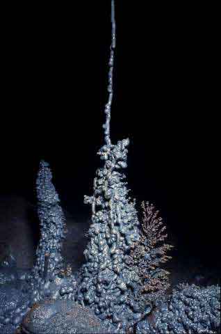 Stalagmites de lave